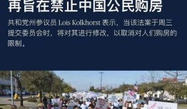 美国德州的中国人爆料视频,揭秘当地生活现状与挑战