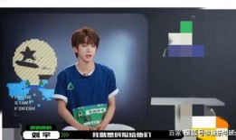 杨丽妈妈爆料视频播放在线观看,揭秘事件背后真相