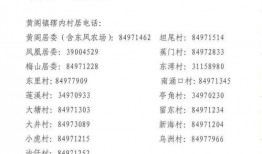 南头镇最新爆料消息公布,揭秘镇域发展新动态与重大事件