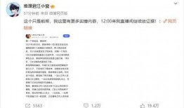 狗仔爆料蔡徐坤妈妈视频,蔡徐坤妈妈视频引发热议