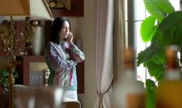 继子爆料母亲视频大全集,揭秘家庭背后的惊人真相