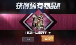 最新军需手册爆料视频播放,最新爆料视频深度解析