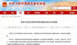 潍坊负面新闻爆料最新消息,揭露背后惊人真相