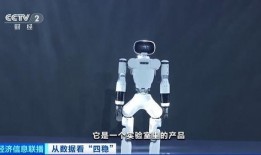 半机器人在线观看,探索未来科技与人类融合的惊险旅程