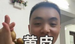 周立珊吃瓜视频免费观看,揭秘娱乐圈幕后故事