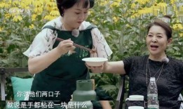 鞠萍爆料春妮视频大全集,精彩瞬间回顾