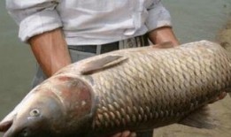 新瓜最新爆料钓鱼视频大全