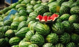 泰国西瓜最新爆料新闻