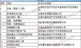 长春发布最新爆料,揭秘城市新动态与热点事件