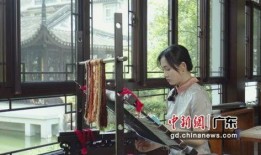 谢娜爆料何炅老司机视频,揭秘何炅“老司机”视频幕后趣事