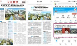 大沥新闻爆料,聚焦热点事件，揭示社会现象