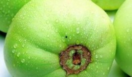 甜瓜娱乐爆料君是谁啊,网络红人背后的故事