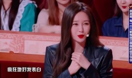 香港媒体爆料沈梦辰视频,香港媒体深度揭秘