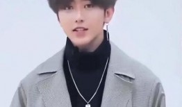 直播爆料蔡徐坤视频大全,揭秘偶像背后的故事