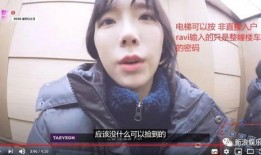 粉丝爆料苍狼视频大全集,粉丝揭秘精彩瞬间，重温经典瞬间