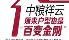 中粮祥云爆料最新消息新闻,揭秘项目进展与未来规划