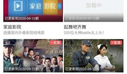 四川某老板爆料视频,揭秘企业内幕与行业真相