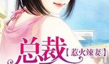 娱乐吃瓜酱妻子小说阅读,妻子背后的爱情故事