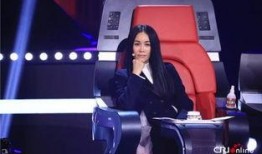 最新爆料那英过往视频大全,揭秘歌手背后的精彩瞬间