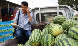 临夏网红浪山吃瓜事件,一场网络狂欢背后的争议与反思