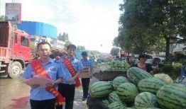 利川网红吃瓜事件,揭秘网络舆论背后的真相与反思