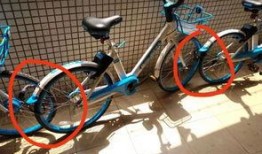 云南共享单车最新爆料,绿色出行新篇章再掀热潮