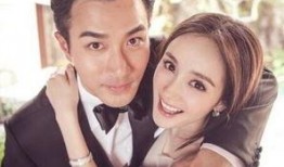 圈内爆料刘恺威离婚,圈内爆料揭开神秘面纱