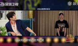 何炅机场爆料视频播放时间,揭秘明星出行幕后，播放时间引发热议