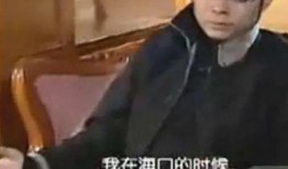 四哥爆料浩子视频播放,浩子视频播放背后的惊人数据与现象