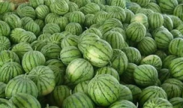 暗料网免费吃瓜,揭秘娱乐圈幕后真相