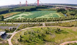 黄河公园爆料视频播放,揭秘公园美景与神秘事件