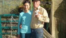 茂名夫妇爆料新闻报道,揭露惊人真相，揭开背后黑幕