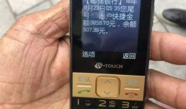 平板大爷爆料视频下载,下载背后的真相与启示