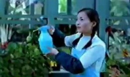 cctv8电视剧 直播在线观看