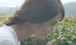 林允儿事件爆料视频,真相揭秘与舆论风暴再起