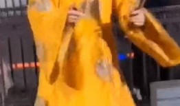 赢哥爆料借钱不还的视频,视频曝光惊人内幕