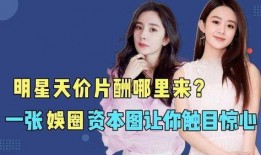 明星身后资本爆料视频,独家视频深度解析