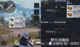 刺激战场测试服最新爆料,全新内容与优化来袭，玩家体验再升级