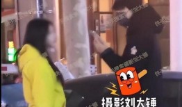 刘大锤爆料李乃文视频,揭秘娱乐圈幕后真相