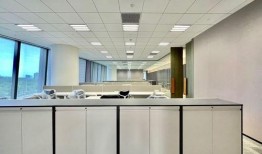 冬瓜宠物爆料视频大全集,视频大全集精彩瞬间回顾