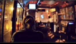 独钟在线观看,揭秘热门剧集背后的魅力与热度