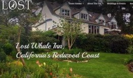 洪堡县在线观看,揭秘神秘小镇的传奇故事