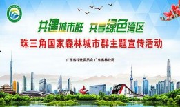 广东农村爆料新闻,揭秘乡村发展新动向