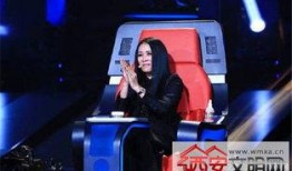 最新爆料那英过往视频大全,揭秘歌手背后的精彩瞬间