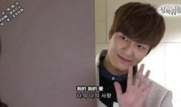 四哥爆料浩子视频播放,浩子视频播放背后的惊人数据与现象