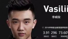 老岳爆料死亡宣告视频播放,老岳爆料背后的真相与争议