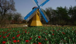 哈尔滨植物园爆料案件最新,惊现神秘命案，真相扑朔迷离！