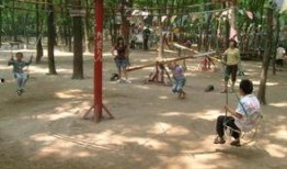 黄河公园爆料视频播放,揭秘公园美景与神秘事件