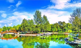 哈尔滨植物园爆料案件最新,惊现神秘命案，真相扑朔迷离！