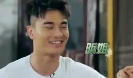 郑凯家庭爆料视频播放,揭秘明星家庭生活点滴